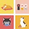 Cats Paint-by-Number Gallery Mini Kit by Artist's Loft®